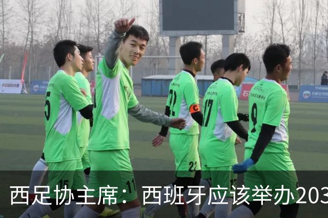 西足协主席：西班牙应该举办2030世界杯决赛，我们各方面条件最优